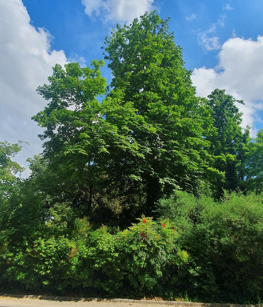 Montsouris 2